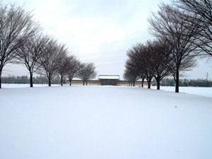 岩手のイベント情報